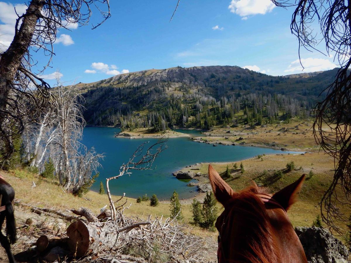 Buffalo Valley Ranch Moran Luaran gambar